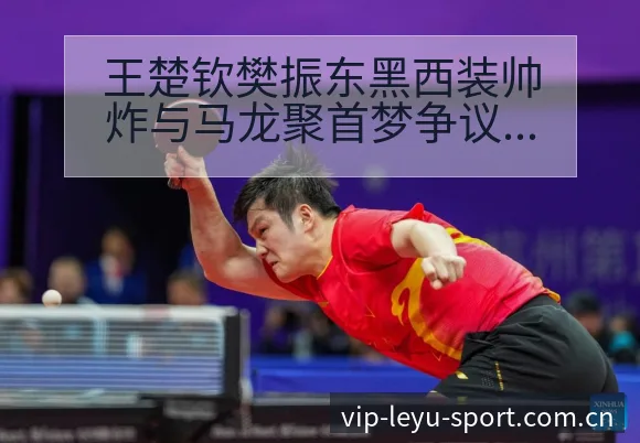 王楚钦樊振东黑西装帅炸与马龙聚首梦争议焦点项目格局深度解 - leyu